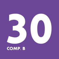 Boldan Epoxid BX zložka B 30